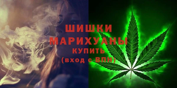 стаф Гусь-Хрустальный