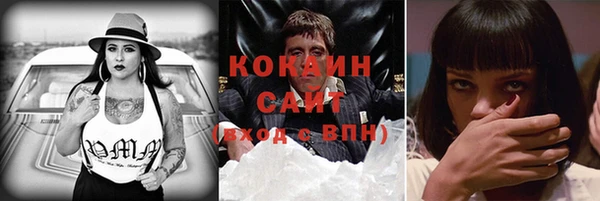 стаф Гусь-Хрустальный