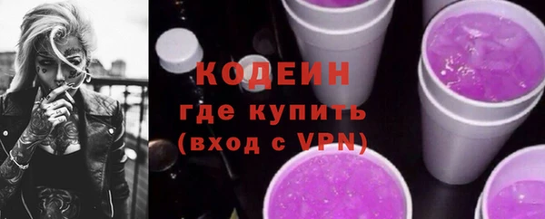 стаф Гусь-Хрустальный