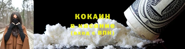 стаф Гусь-Хрустальный
