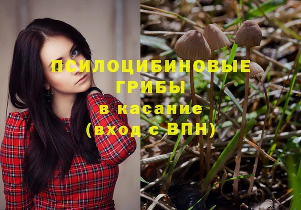 jwh Гусиноозёрск